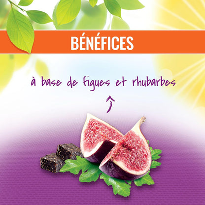 iFarh.com GAYELORD HAUSER carrés transit figues et rhubarbe riche en fibres 